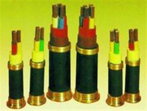 七芯屏蔽電纜電纜國標(biāo)型號(hào) 七芯屏蔽電纜電纜國標(biāo)型號(hào)